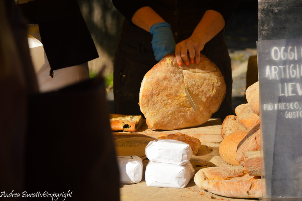 Pane Andrea2